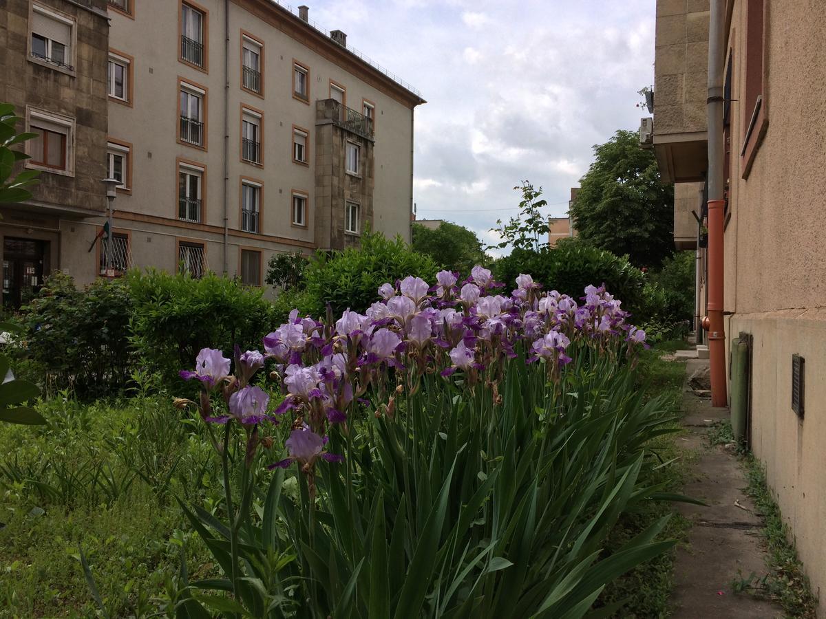 Irisz Apartman Budapeszt Zewnętrze zdjęcie